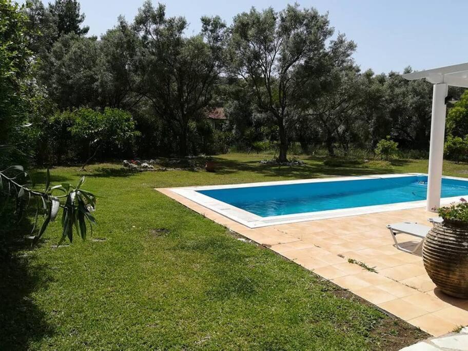 Villa Erietta Near Lefkas Center Apolpaina Exteriör bild
