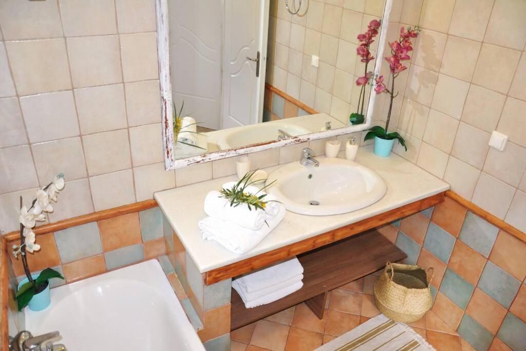 Villa Erietta Near Lefkas Center Apolpaina Exteriör bild