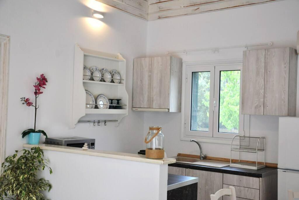 Villa Erietta Near Lefkas Center Apolpaina Exteriör bild