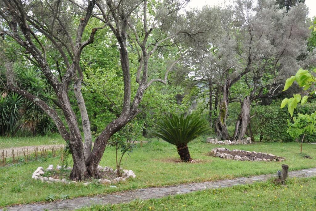 Villa Erietta Near Lefkas Center Apolpaina Exteriör bild